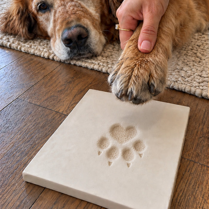 step press the paw into clay