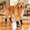 COZY PAWS grip socks hero