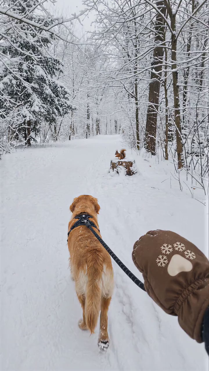 COZY LEASH cozy loop2 pov